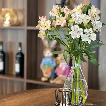 Paradiso Dreams Boutique Hotel By Asteri Hotels